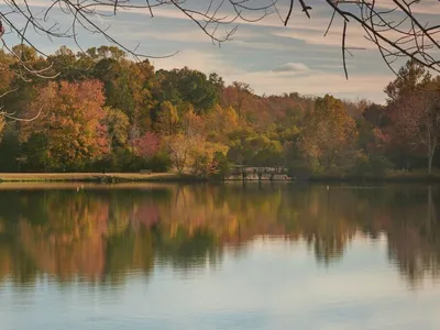 Bench by a lake in Ford's Colony