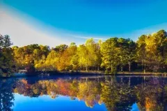 fallpond-2