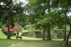 Fords-Colony-Summer-07_preview